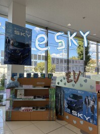 eSKY